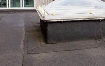 disadvantages of Bwlch Y Plain flat roofs